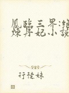 凤临三界:绝色炼丹妃小说