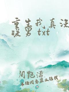 重生我真没想当暖男 txt