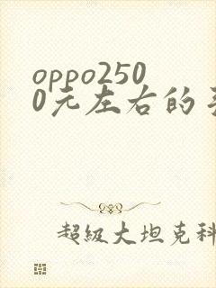 oppo2500元左右的手机哪款好