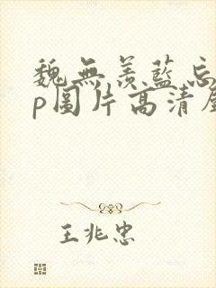 魏无羡蓝忘机cp图片高清壁纸