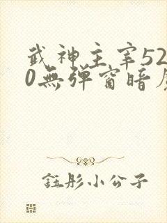 武神主宰5200无弹窗暗魔师