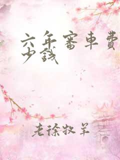 六年审车费用多少钱