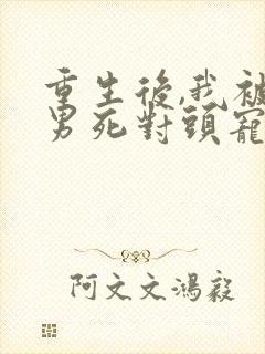 重生后,我被渣男死对头宠我上天