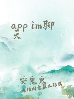 app im聊天