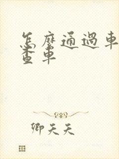 怎么通过车牌号查车