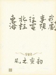 东北往事我叫刘海柱电视剧