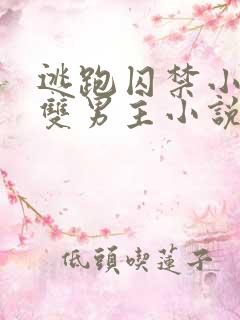 逃跑囚禁小少爷双男主小说推荐