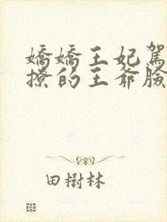 娇娇王妃驾到,撩的王爷脸红心跳完本