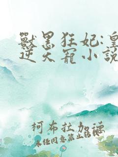 兽黑狂妃:皇叔逆天宠小说下载txt