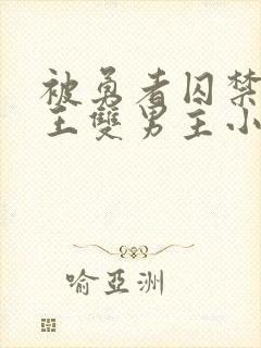 被勇者囚禁的魔王双男主小说