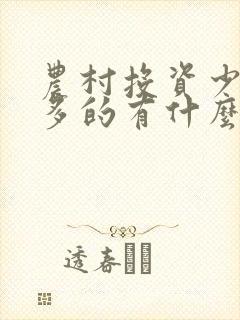 农村投资少挣钱多的有什么项目