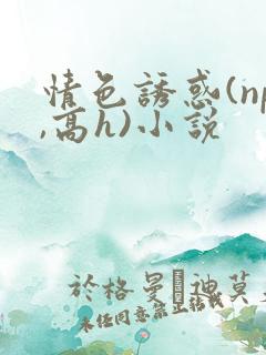 情色诱惑(np,高h)小说