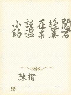 小说在线阅读我的温柔暴君