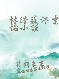 林皓苏沐云李静怡小说