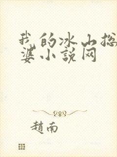 我的冰山总裁老婆小说网