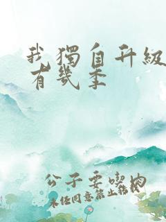 我独自升级动漫有几季