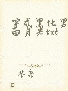 穿成黑化男主的白月光txt