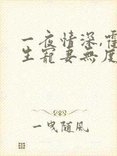 一夜情深,霍先生宠妻无度完本