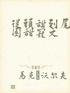 从头甜到尾的校园甜宠文