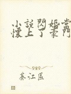 小说闪婚当天我怀上了豪门继承人