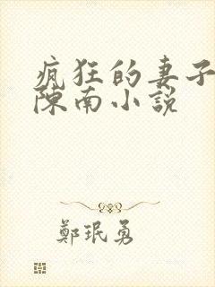 疯狂的妻子林瑶陈南小说