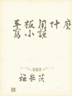 平板用什么软件写小说