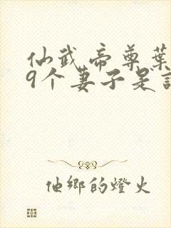 仙武帝尊叶辰19个妻子是谁