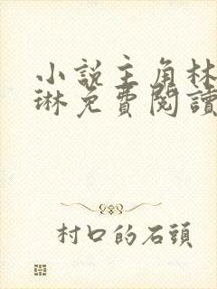 小说主角林清何琳免费阅读