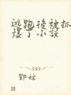 逃跑后被抓回来爆了小说