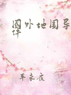 国外地图导航软件