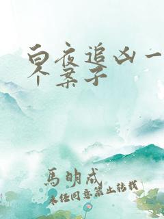 白夜追凶一共几个案子