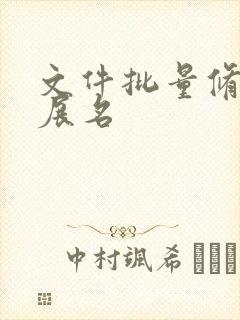 文件批量修改扩展名