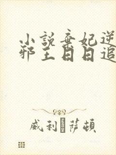 小说弃妃逆袭:邪王日日追妻忙阅读