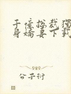 千亿总裁独宠替身娇妻下载