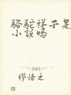 骆驼祥子是现代小说吗