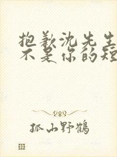 抱歉沈先生孩子不是你的短剧免费观看