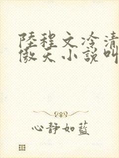 陆程文冷清秋龙傲天小说叫什么名字