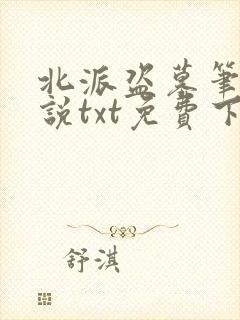 北派盗墓笔记小说txt免费下载