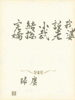 完结小说我的傲娇总裁老婆