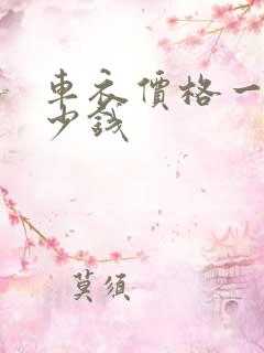 车衣价格一般多少钱