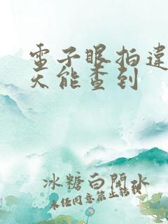 电子眼拍违章几天能查到