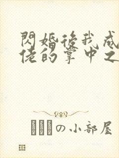 闪婚后我成了大佬的掌中之物男主角