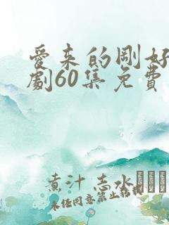 爱来的刚好电视剧60集免费观看