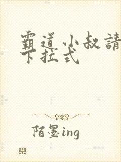 霸道小叔请轻撩下拉式