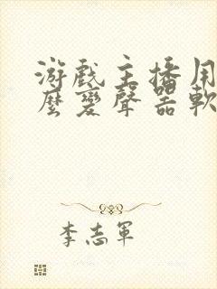 游戏主播用的什么变声器软件