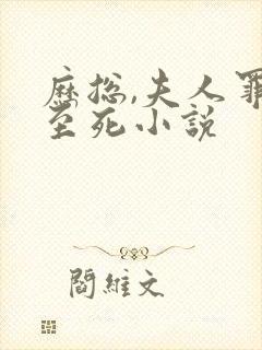 历总,夫人罪不至死小说