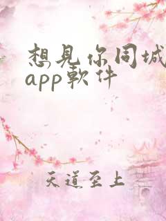 想见你同城交友app软件
