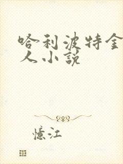 哈利波特金妮同人小说