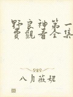 野良神第一季免费观看全集