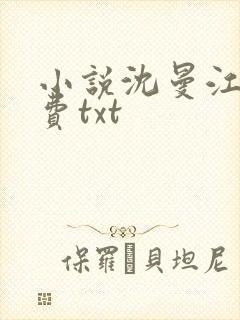 小说沈曼江峰免费txt